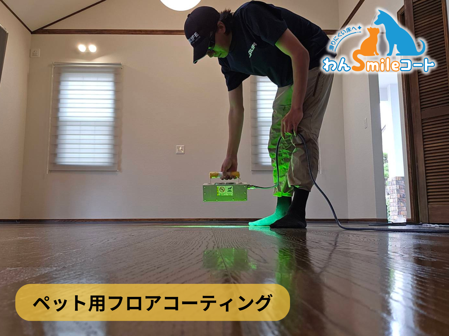 フロアコーティング　千葉県夷隅郡御宿町　新築戸建 9月18日 ペット用フロアコーティング　わんスマイルコート
