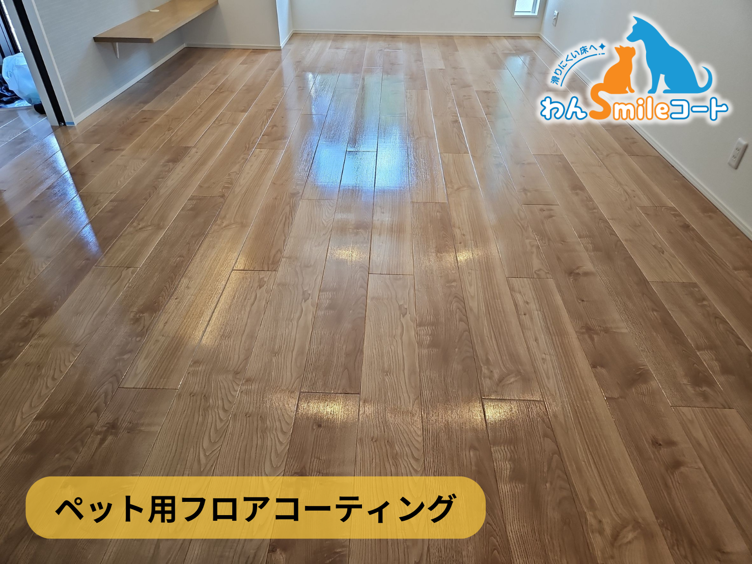 フロアコーティング　神奈川県横浜市港北区　新築戸建 9月18日 ペット用フロアコーティング　わんスマイルコート