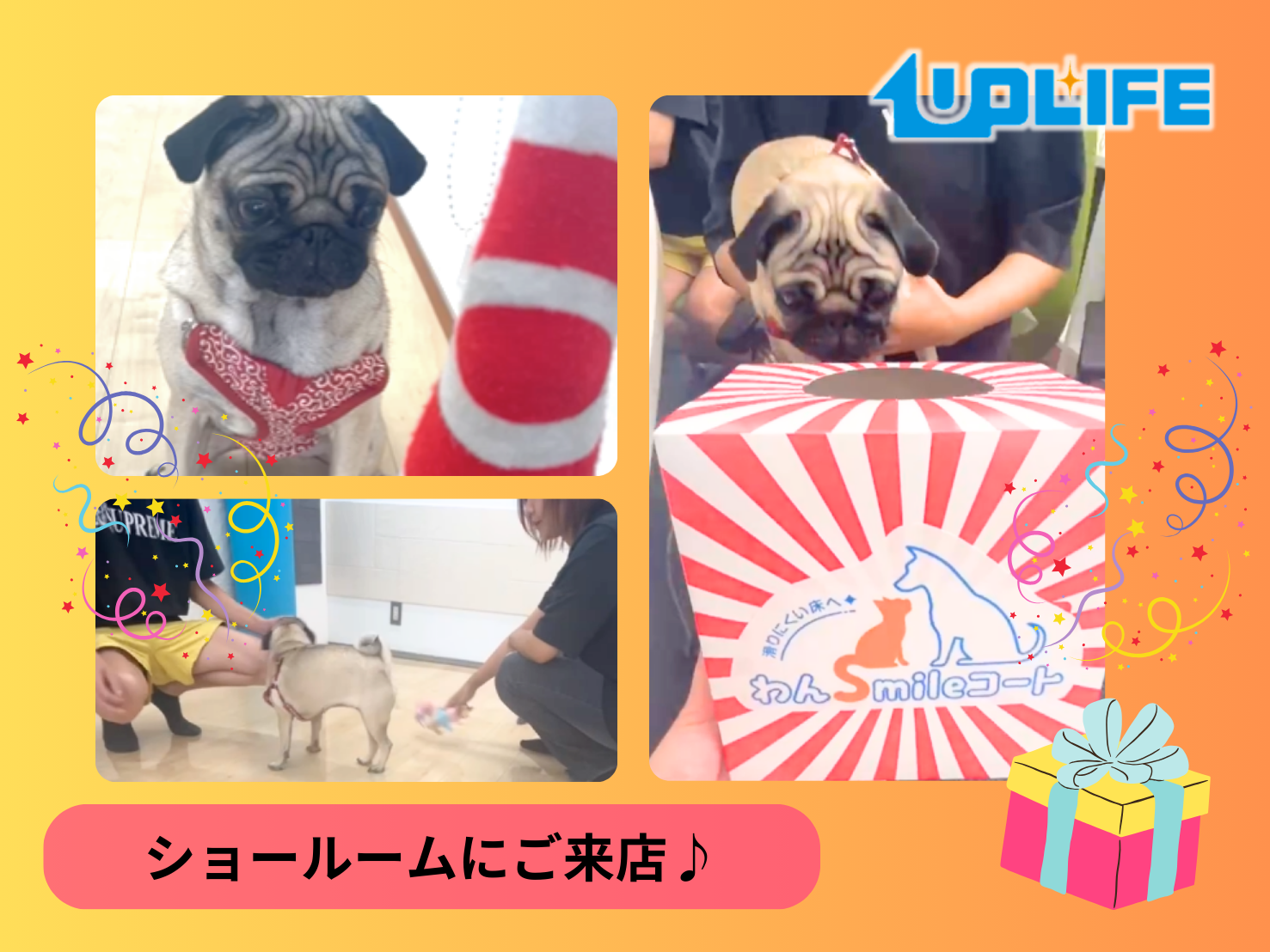 犬と暮らすご家庭に人気！ショールームで体感するフロアコーティング