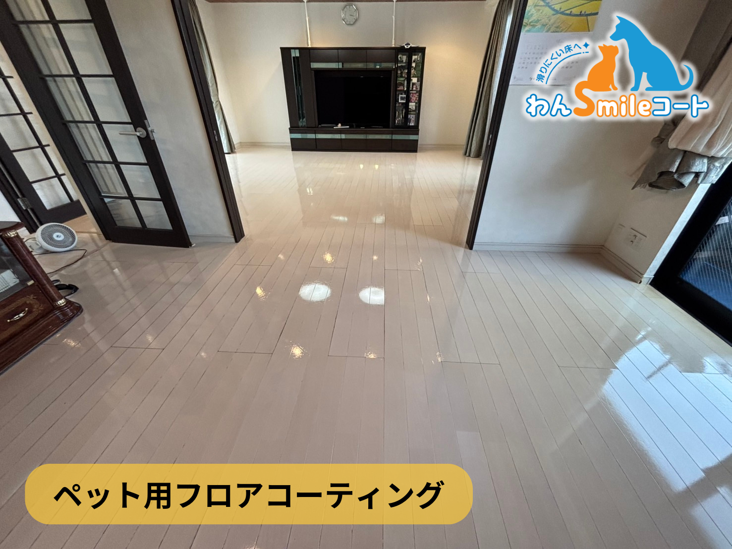 フロアコーティング　東京都杉並区堀之内　入居中戸建（築15年） 9月21日 ペット用フロアコーティング　わんスマイルコート