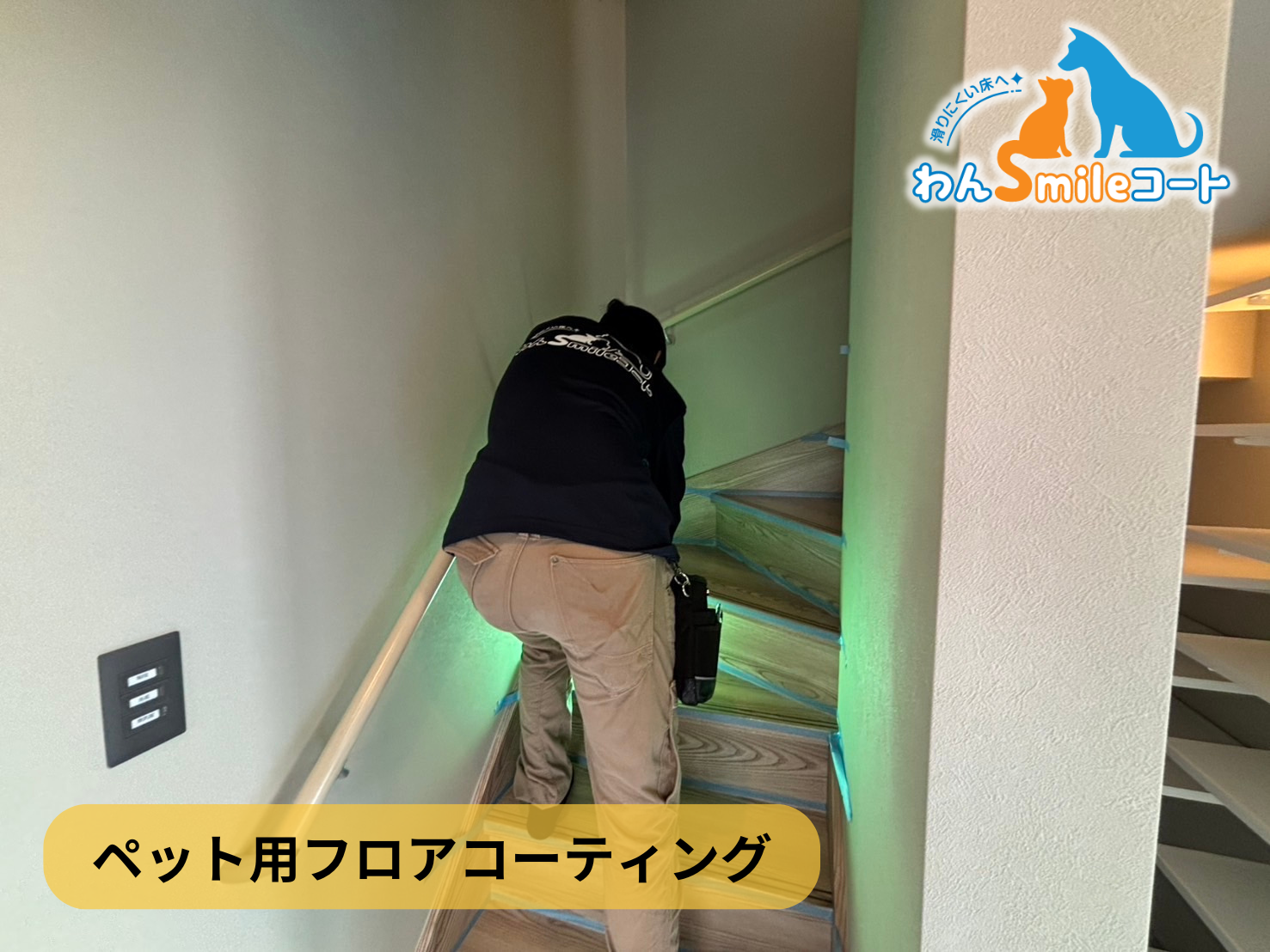フロアコーティング　東京都江戸川区松江　新築戸建 9月21日 ペット用フロアコーティング　わんスマイルコート