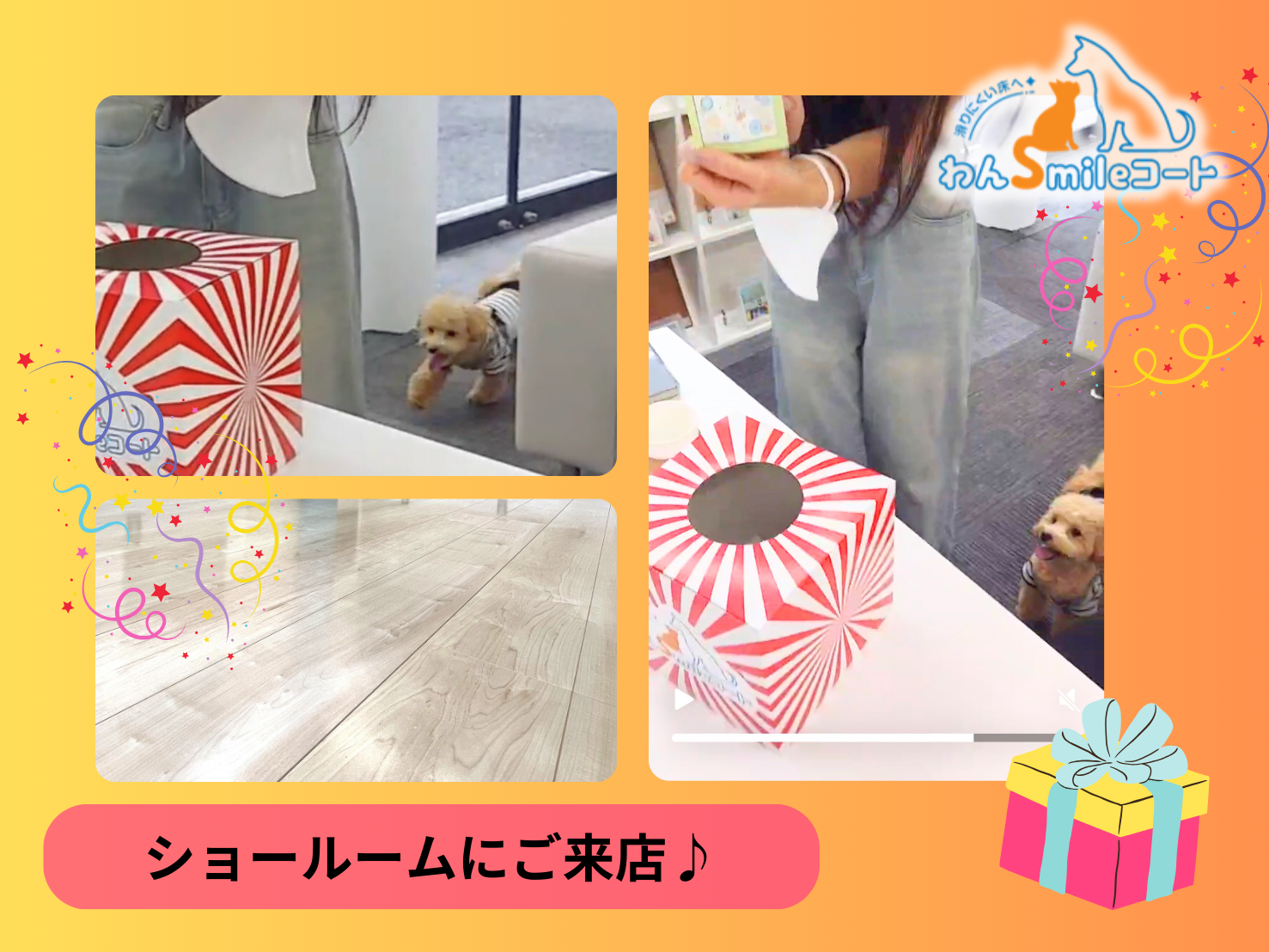 【体験談】わんスマイルコートをショールームで比較！老犬も安心できるフロアコーティングとは？9月23日