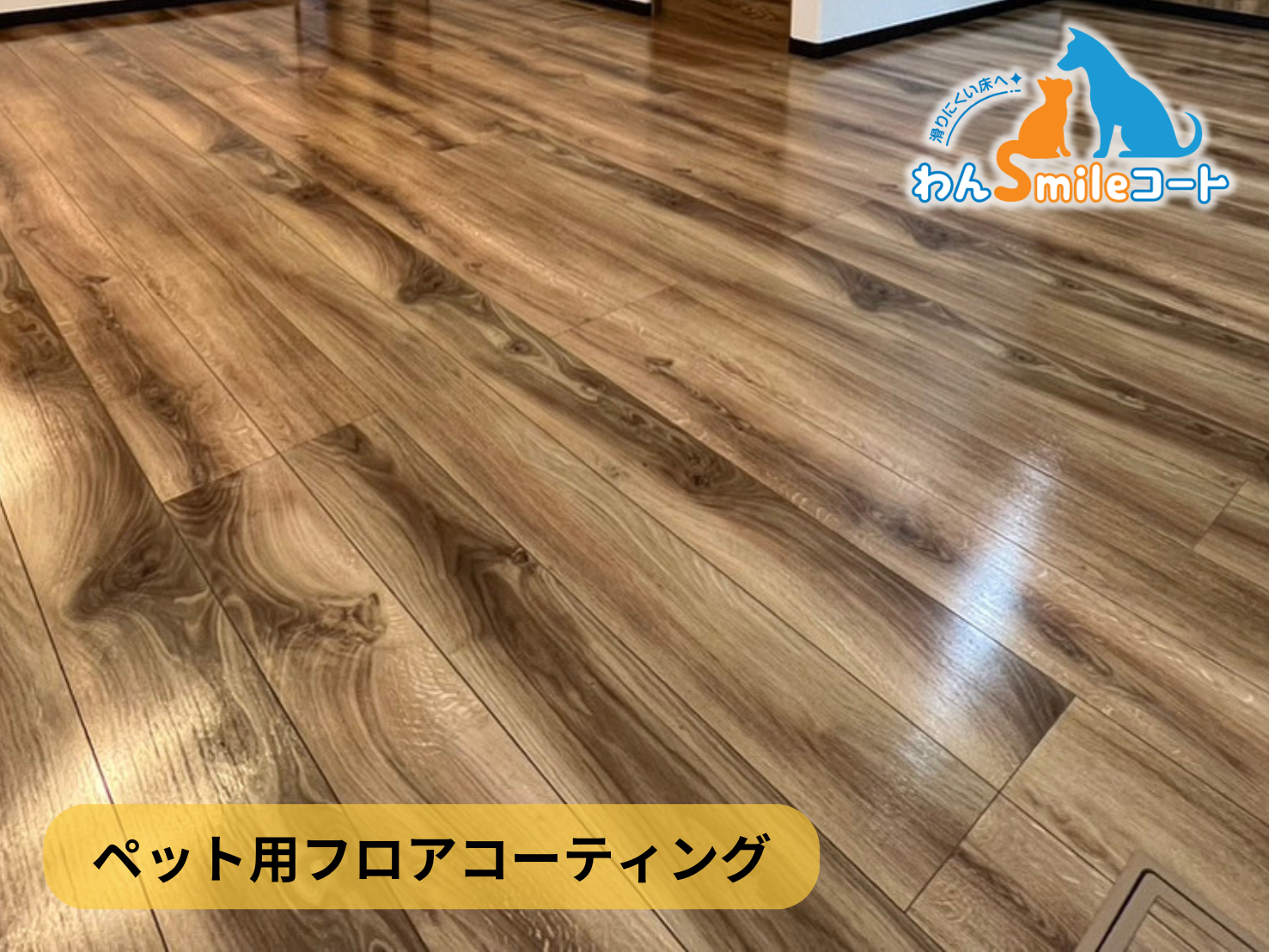 フロアコーティング　神奈川県横浜市保土ヶ谷区　新築戸建 9月23日 ペット用フロアコーティング　わんスマイルコート