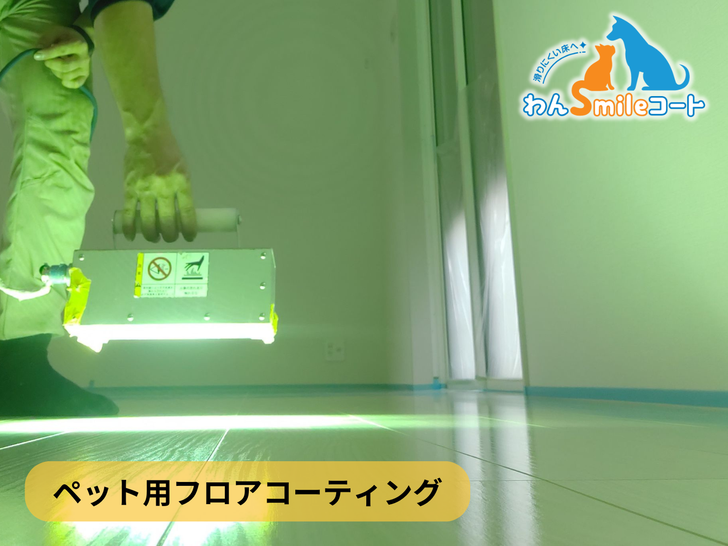 フロアコーティング　埼玉県さいたま市浦和区　新築戸建 9月12日 ペット用フロアコーティング　わんスマイルコート