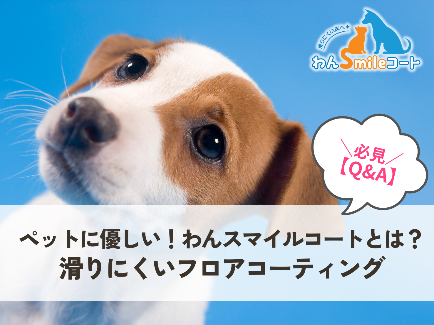 【Q&A】ペットにやさしい！滑りにくいフロアコーティング「わんスマイルコート」とは？