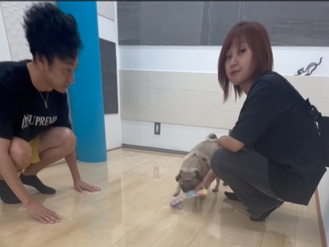 ショールームに来店したご家族さまとパグちゃん