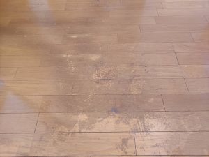 床の劣化による汚れ・ワックスの黒ずみ