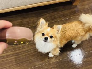 理想は「滑らない床」ではなく「滑りにくい床」