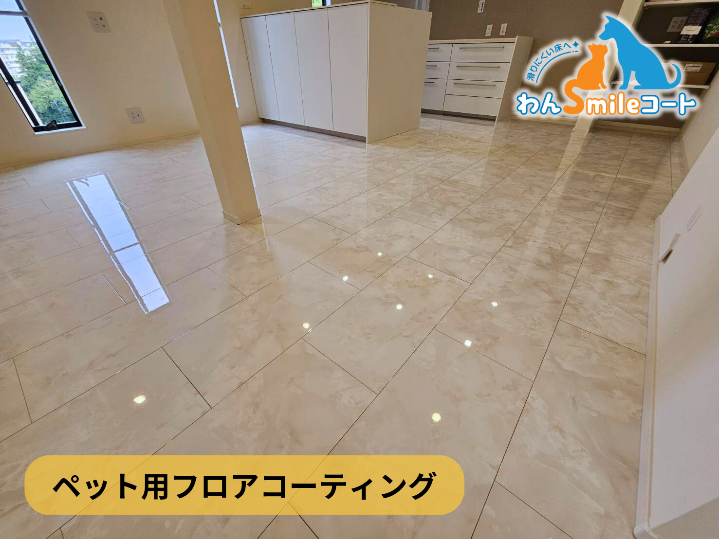 フロアコーティング　神奈川県横浜市青葉区　新築戸建 9月30日 ペット用フロアコーティング　わんスマイルコート