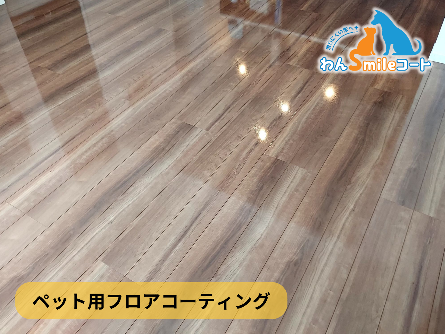 【千葉県千葉市美浜区】フロアコーティング施工事例｜新築戸建 10月20日 ペット用フロアコーティング　わんスマイルコート