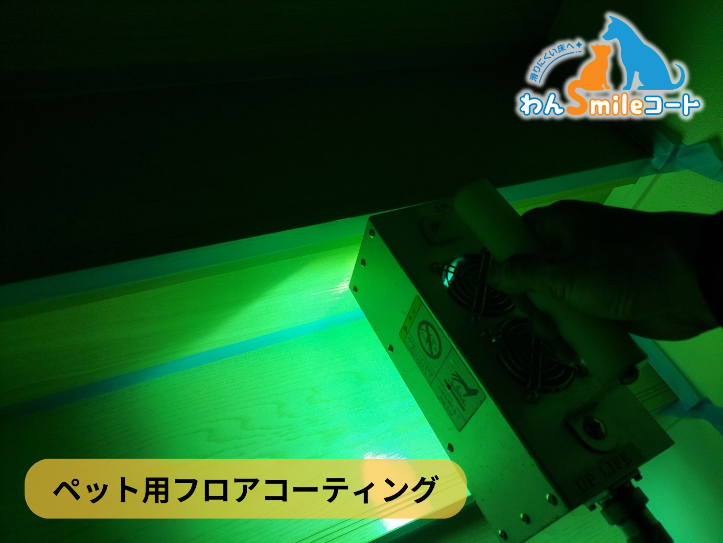 【千葉県千葉市緑区】フロアコーティング施工事例|入居中戸建 10月23日 ペット用フロアコーティング わんスマイルコート