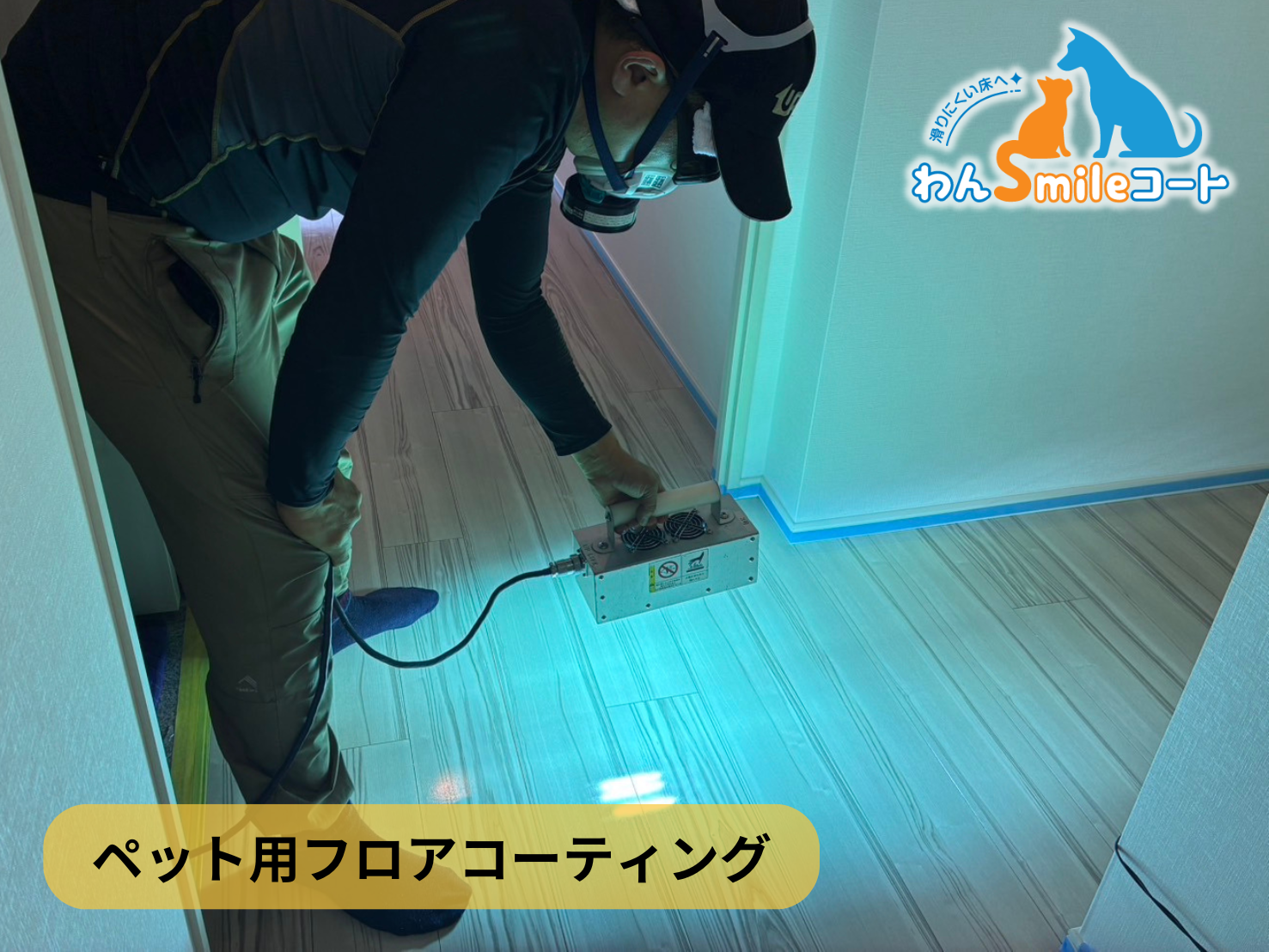 【神奈川県川崎市中原区】フロアコーティング施工事例｜中古マンション 10月6日 ペット用フロアコーティング　わんスマイルコート