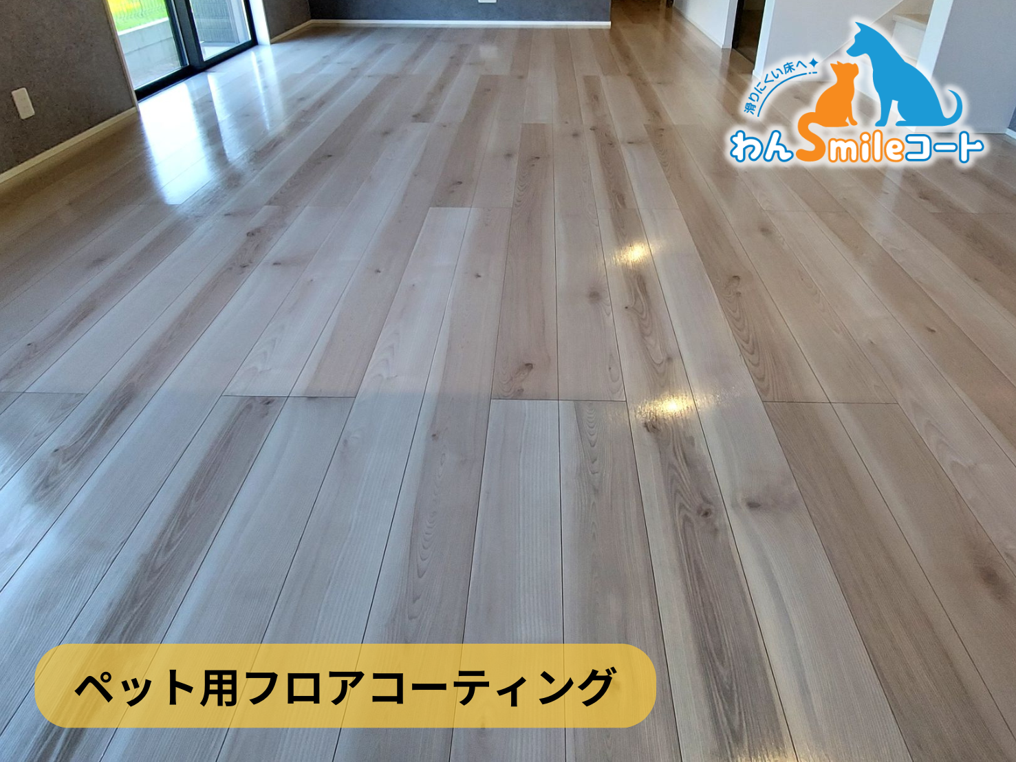 【東京都江東区永代】フロアコーティング施工事例｜新築戸建 10月9日 ペット用フロアコーティング　わんスマイルコート