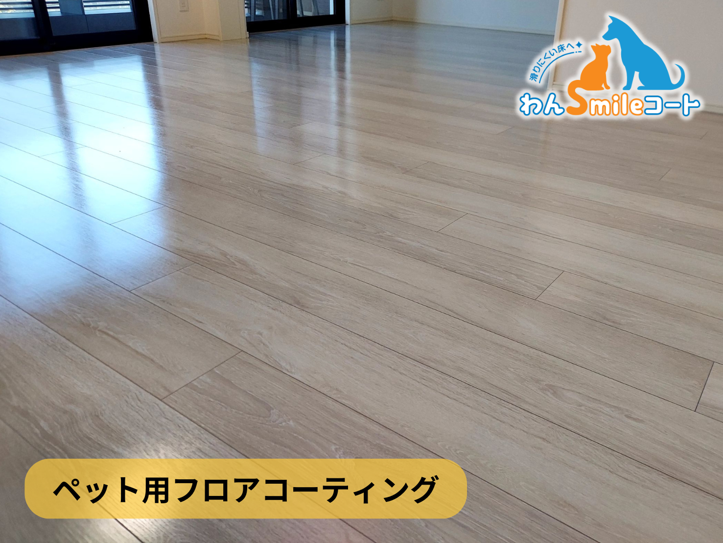 【埼玉県さいたま市北区】フロアコーティング施工事例|新築戸建 10月5日 ペット用フロアコーティング わんスマイルコート