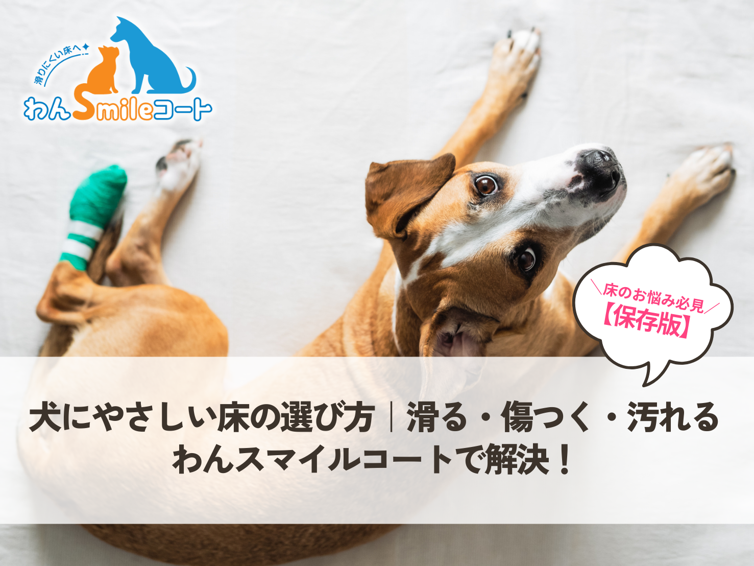 【保存版】犬にやさしい床の選び方｜滑る・傷つく・汚れる悩みはフロアコーティングで解決！