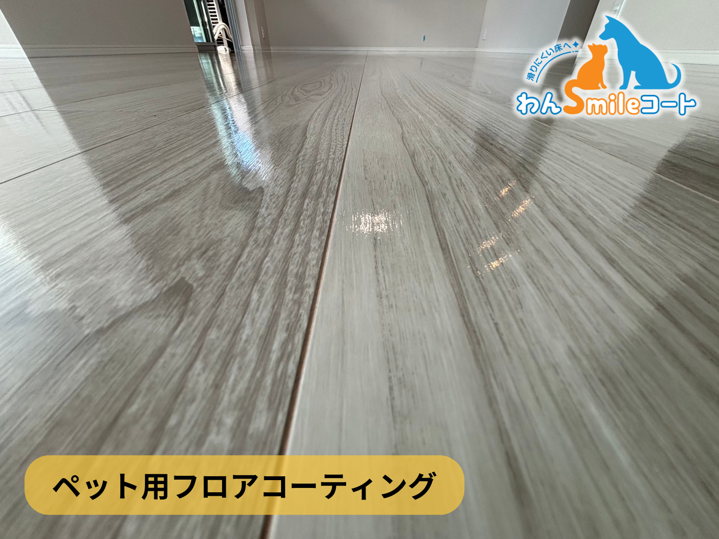 【東京都中央区明石町】フロアコーティング施工事例｜新築戸建 10月19日 ペット用フロアコーティング　わんスマイルコート