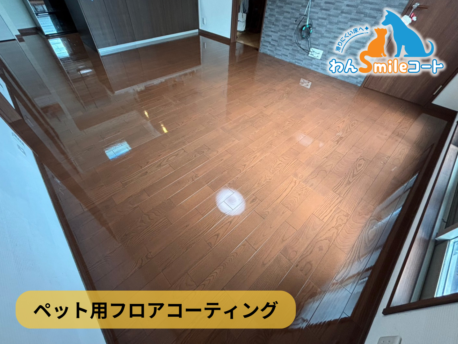 フロアコーティング　東京都板橋区前野町　入居中戸建（築10年） 9月30日 ペット用フロアコーティング　わんスマイルコート