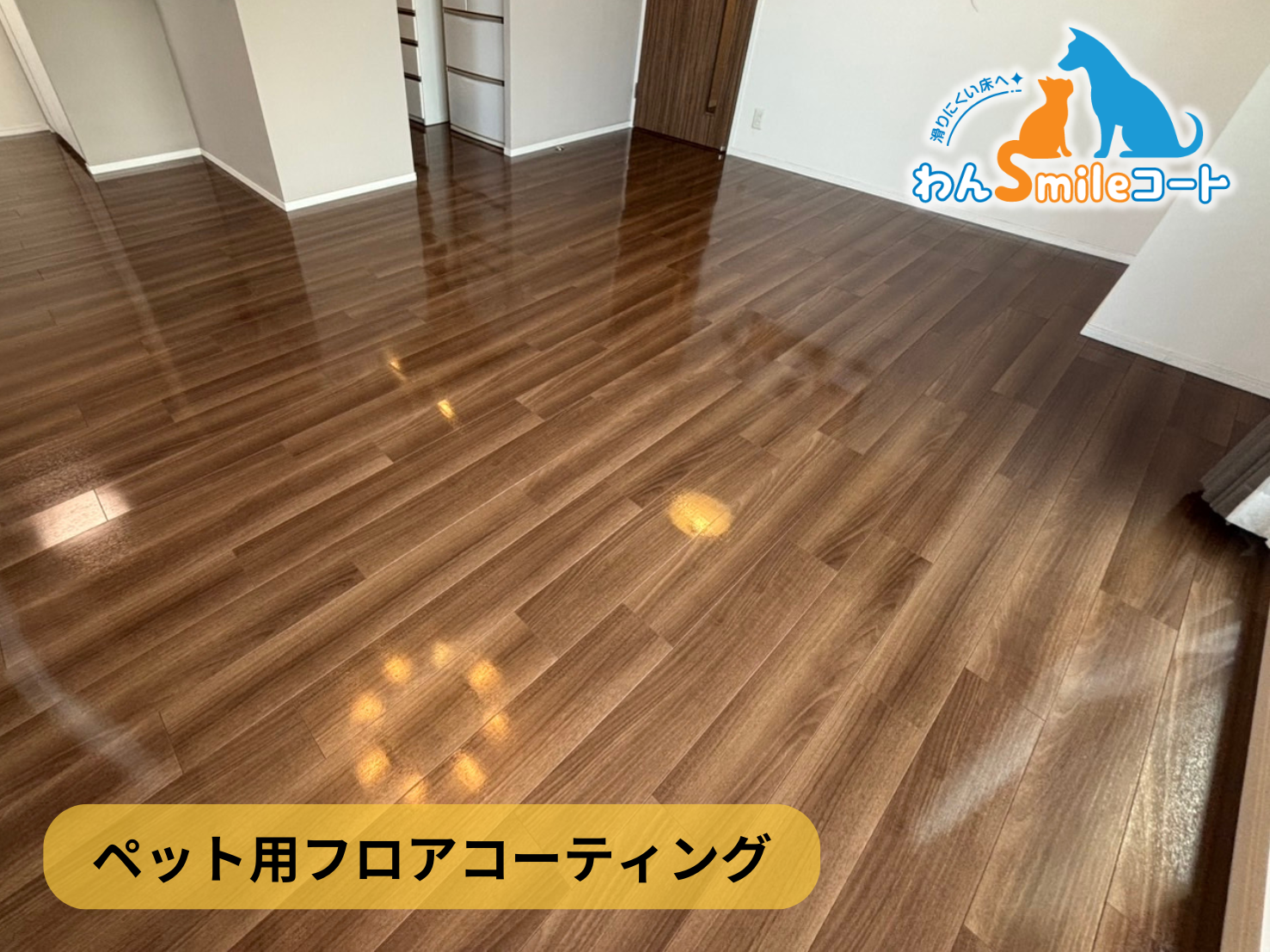 【東京都葛飾区青戸】フロアコーティング施工事例｜入居中マンション（築10年） 10月5日 ペット用フロアコーティング　わんスマイルコート