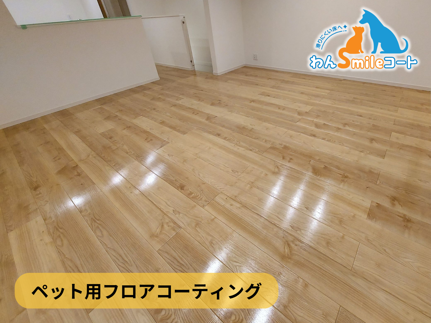 【東京都江東区青海】フロアコーティング施工事例｜新築戸建 10月16日 ペット用フロアコーティング　わんスマイルコート