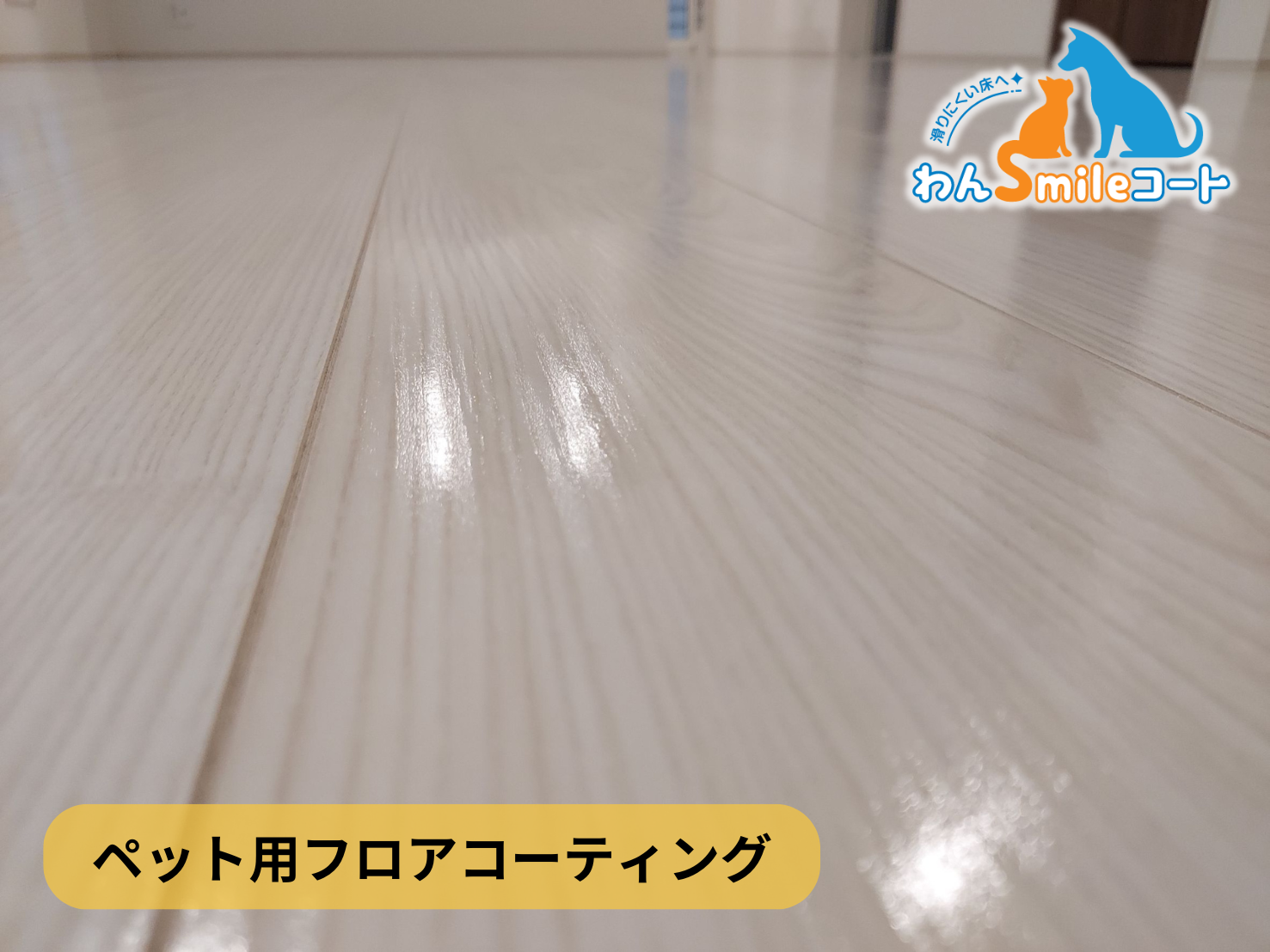 【東京都江東区猿江】フロアコーティング施工事例｜新築戸建 10月19日 ペット用フロアコーティング　わんスマイルコート