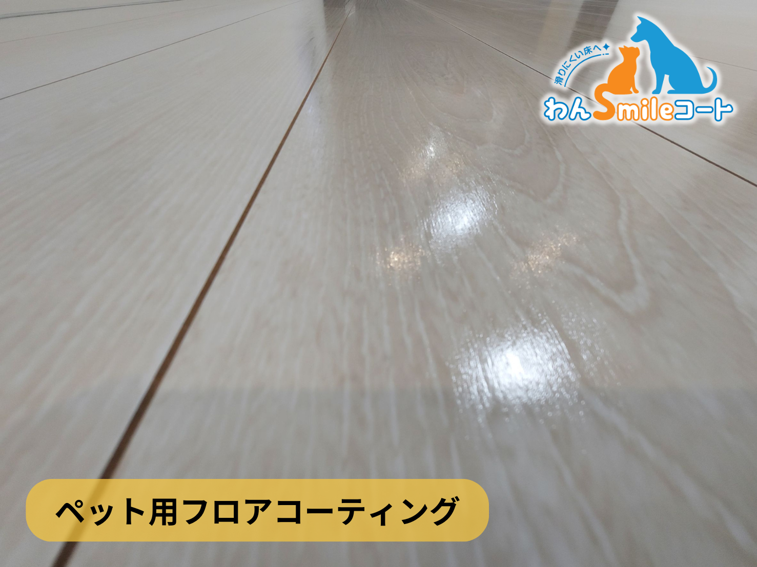【東京都江東区青海】フロアコーティング施工事例｜新築戸建 10月2日 ペット用フロアコーティング　わんスマイルコート