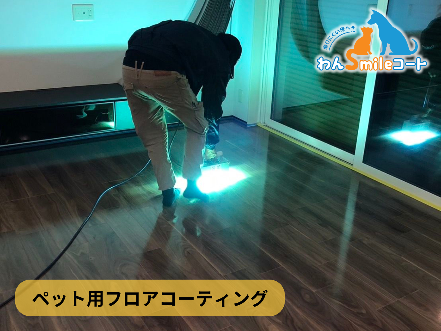 【東京都世田谷区赤堤】フロアコーティング施工事例｜新築戸建 10月14日 ペット用フロアコーティング　わんスマイルコート