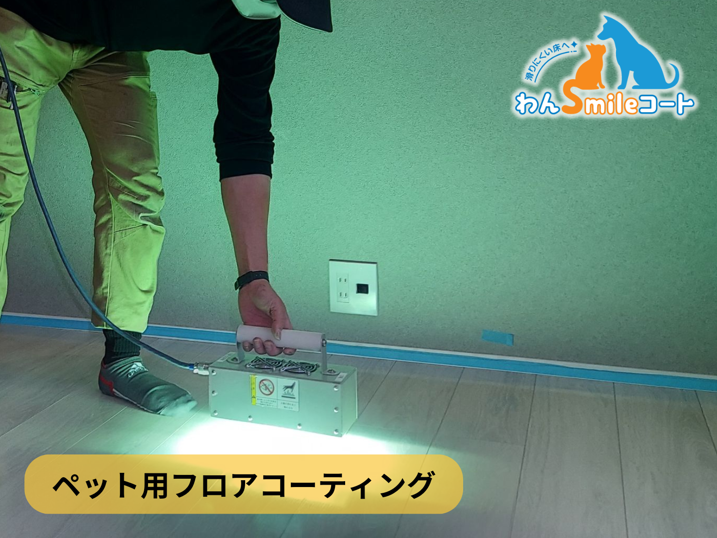 【東京都世田谷区赤堤】フロアコーティング施工事例｜新築戸建 10月2日 ペット用フロアコーティング　わんスマイルコート