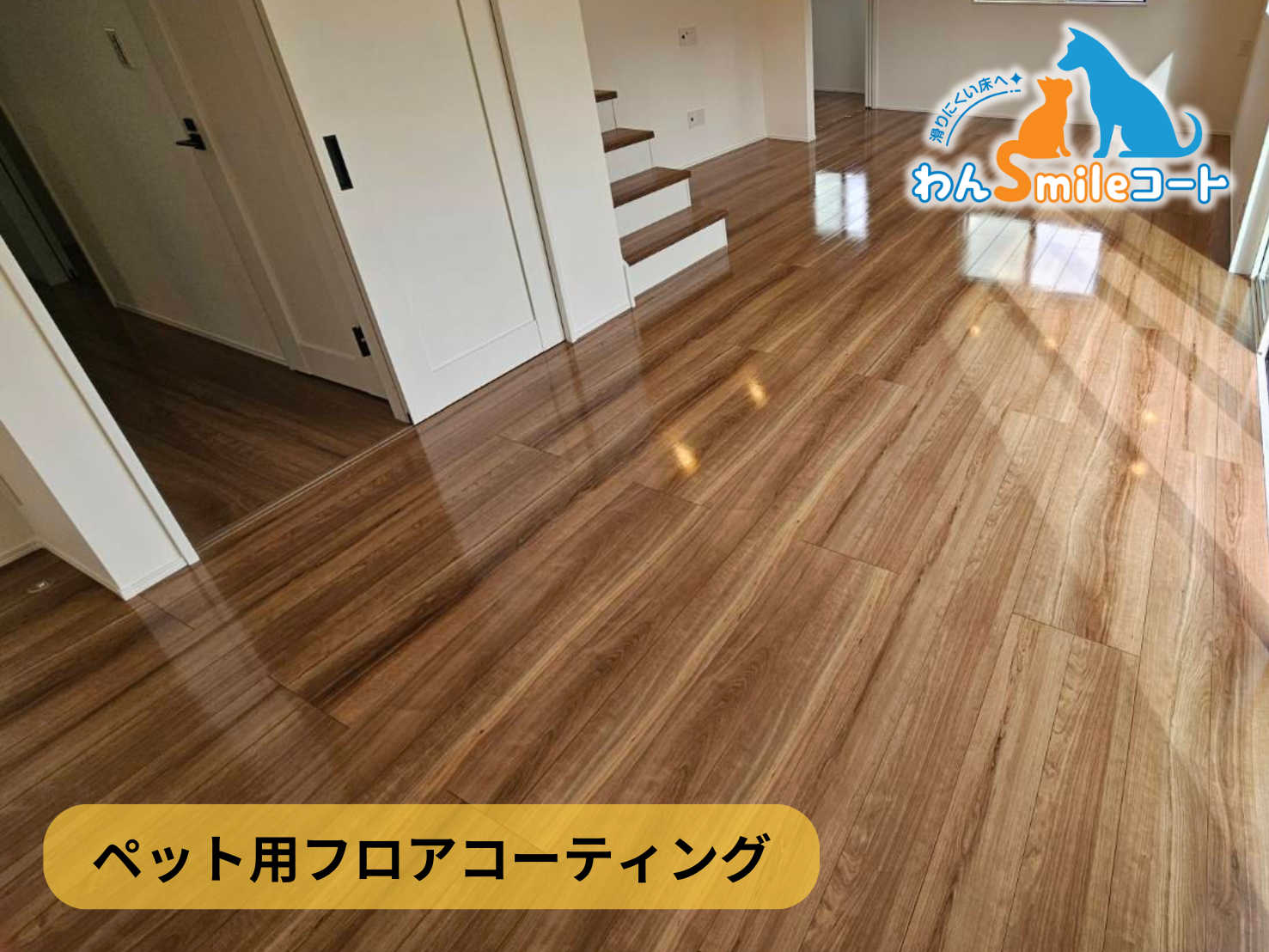 【東京都稲城市百村】フロアコーティング施工事例｜新築戸建 10月6日 ペット用フロアコーティング　わんスマイルコート