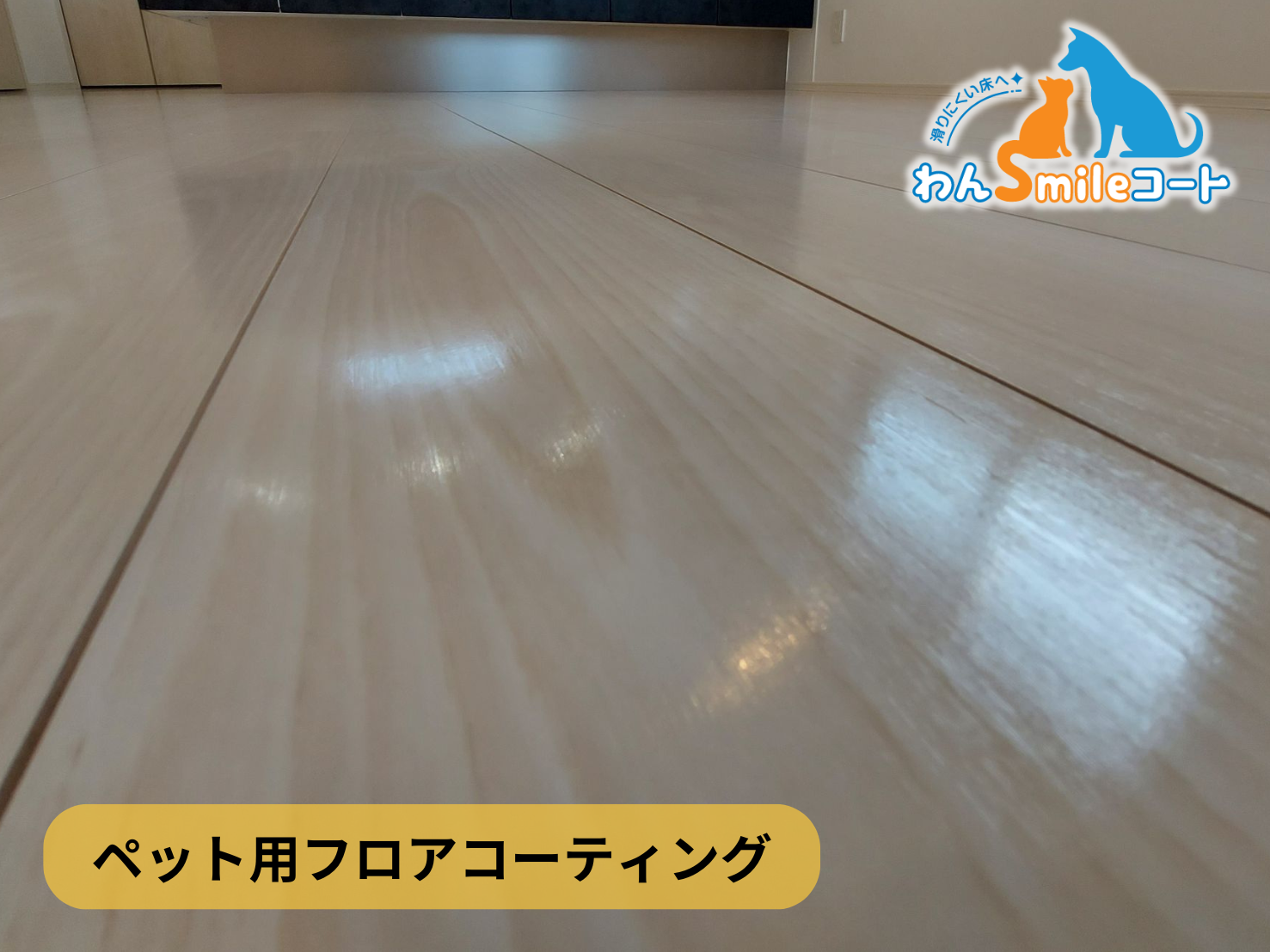 【神奈川県横浜市青葉区】フロアコーティング施工事例｜新築戸建 10月20日 ペット用フロアコーティング　わんスマイルコート