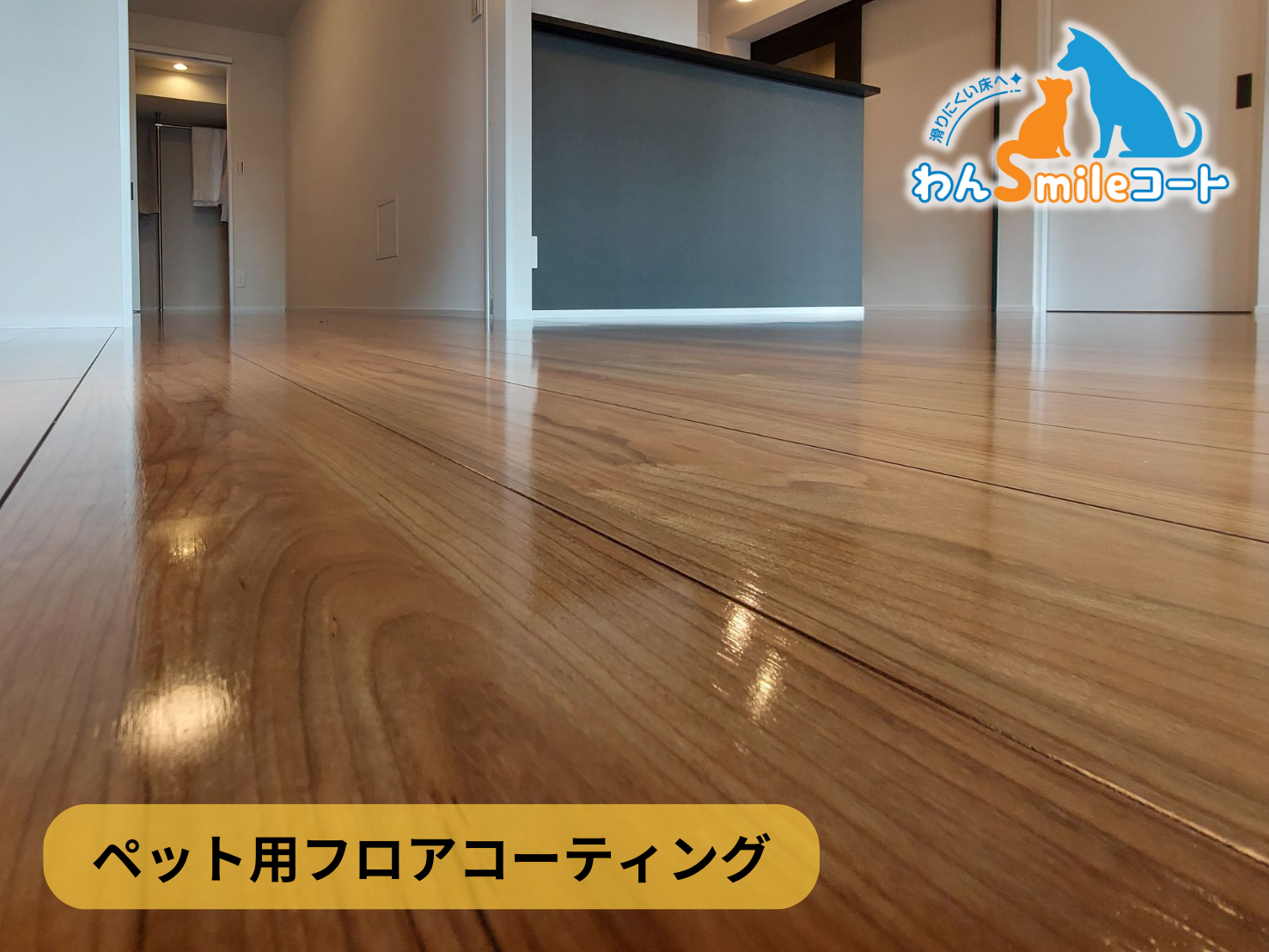 【神奈川県横浜市青葉区】フロアコーティング施工事例｜新築戸建 10月20日 ペット用フロアコーティング　わんスマイルコート