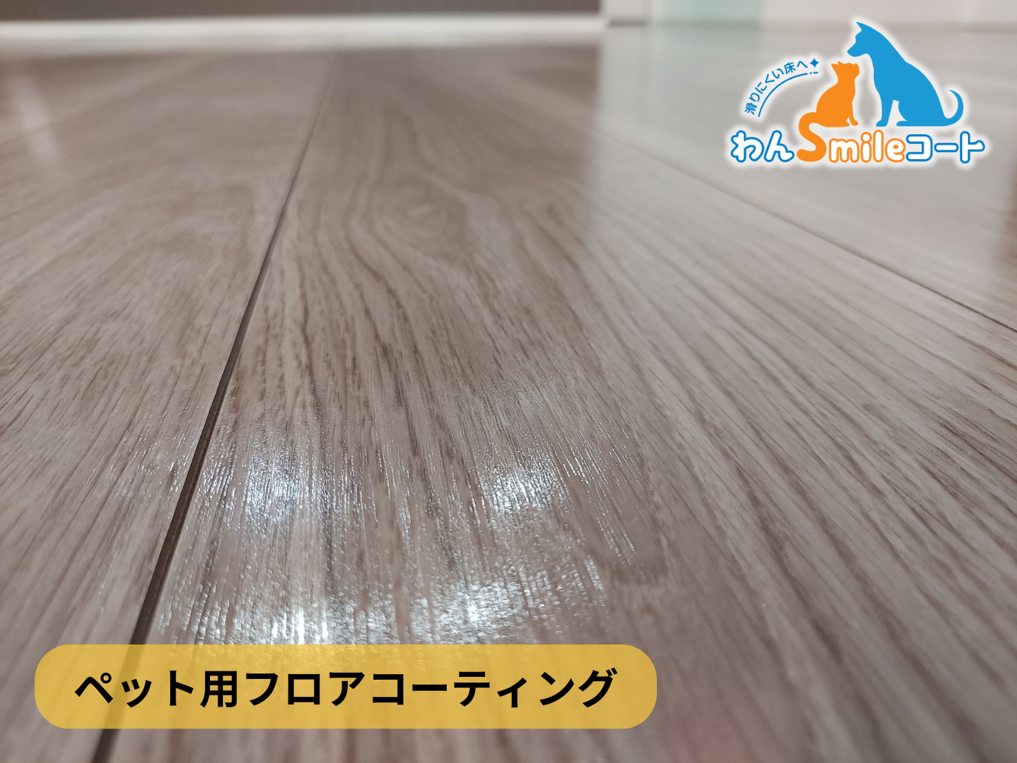 【神奈川県横浜市青葉区】フロアコーティング施工事例｜新築戸建 　10月30日 ペット用フロアコーティング　わんスマイルコート