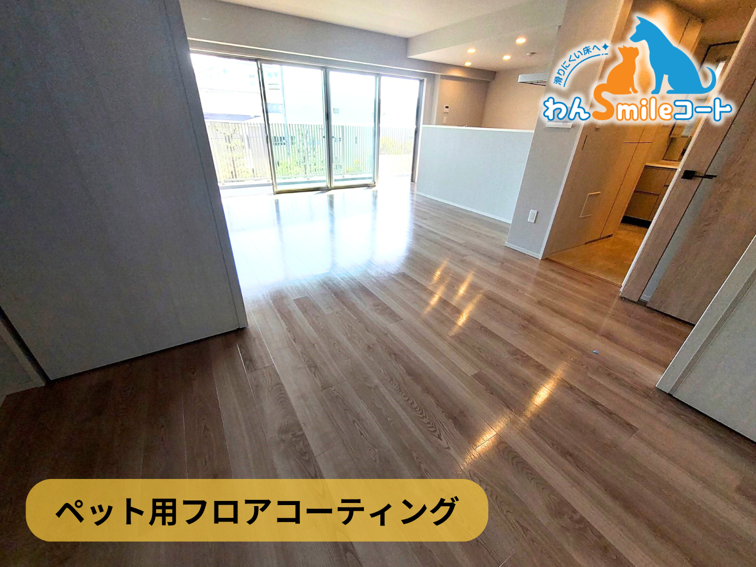 【神奈川県横浜市保土ヶ谷区】フロアコーティング施工事例｜新築マンション 10月16日 ペット用フロアコーティング　わんスマイルコート