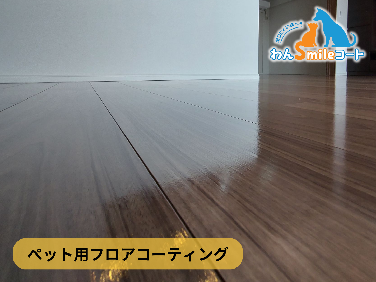 【神奈川県横浜市港北区】フロアコーティング施工事例｜新築戸建 　10月31日 ペット用フロアコーティング　わんスマイルコート