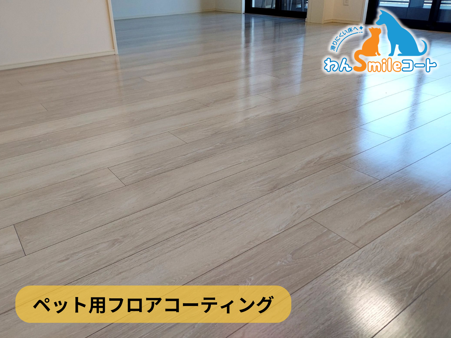 【神奈川県横浜市港北区】フロアコーティング施工事例｜新築戸建 10月17日 ペット用フロアコーティング　わんスマイルコート