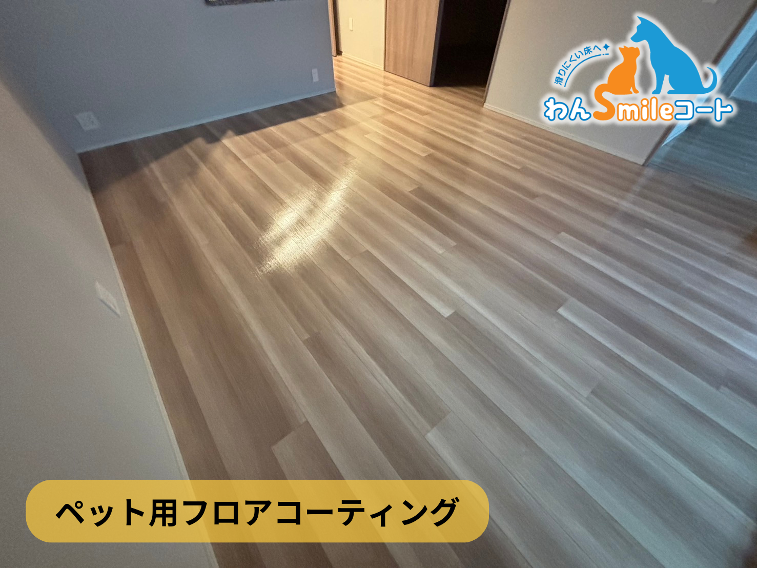 【神奈川県横浜市戸塚区】フロアコーティング施工事例｜新築戸建 10月16日 ペット用フロアコーティング　わんスマイルコート