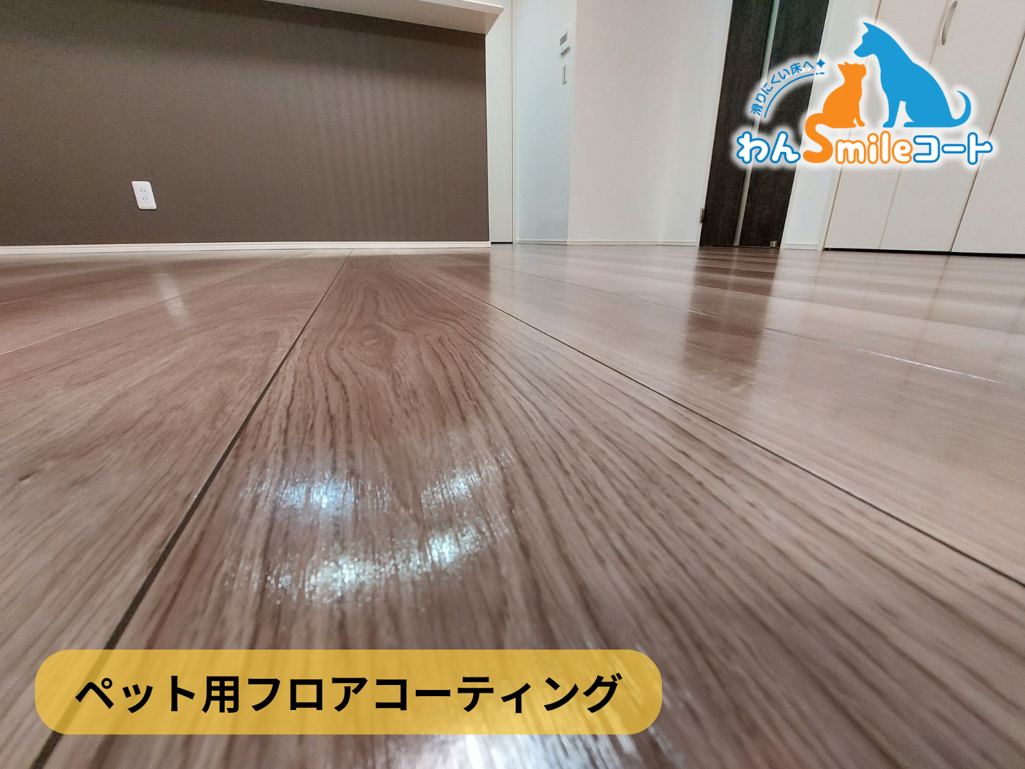 【神奈川県横浜市鶴見区】フロアコーティング施工事例｜新築戸建 10月7日 ペット用フロアコーティング　わんスマイルコート