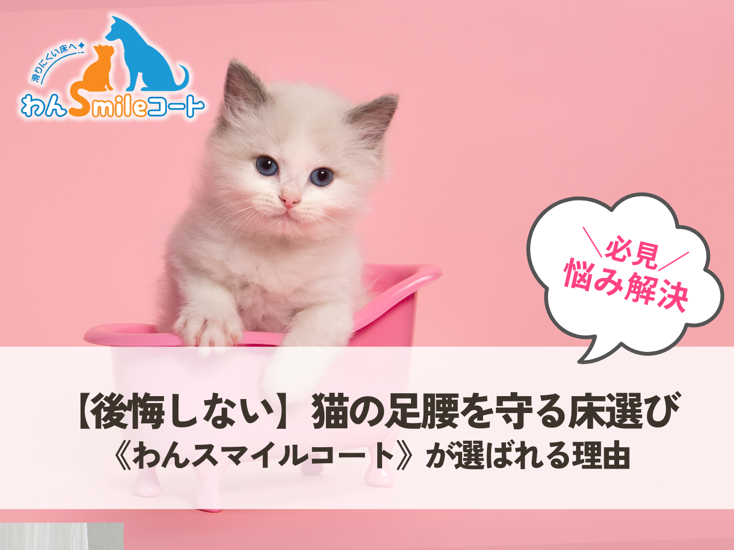 【後悔しない】猫の足腰を守る床選び｜滑りやすいフローリング対策は「わんスマイルコート」で解決！