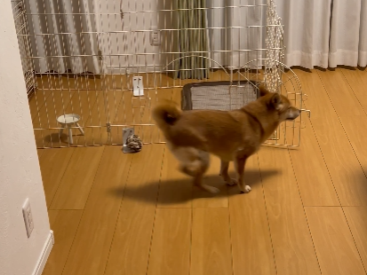 滑る床でヘルニアや脱臼が心配！