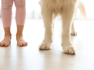 新築の床の悩みありませんか？汚れ、滑り…