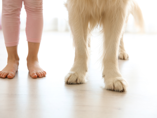 ペットや小さな子どもがいるご家庭では、“グリップ力”の確認が大切