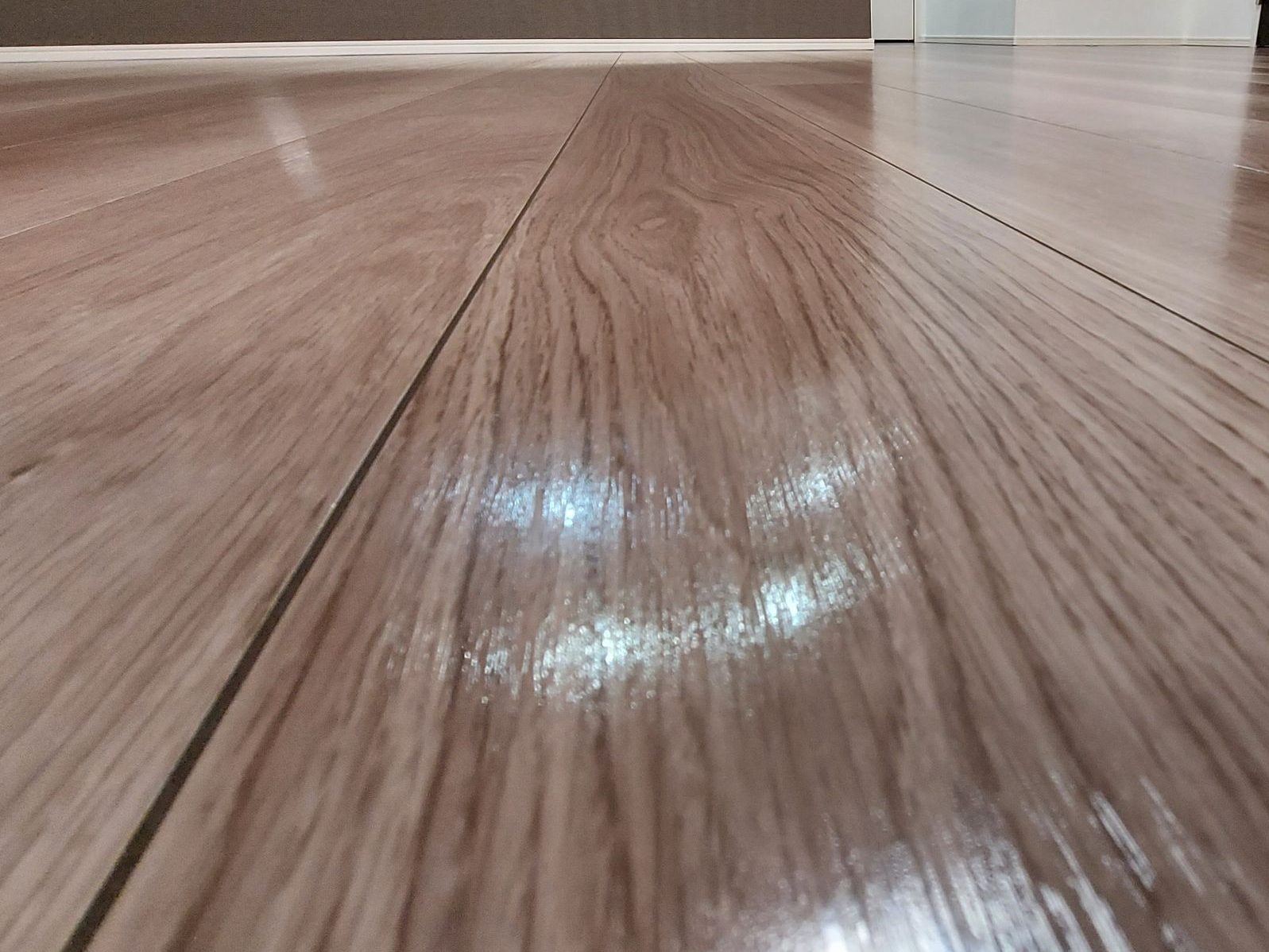 東京都世田谷区赤堤 フロアコーティング 施工後 わんスマイルコート