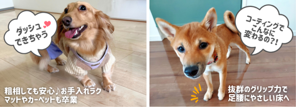 わんスマイルコートで得られる効果