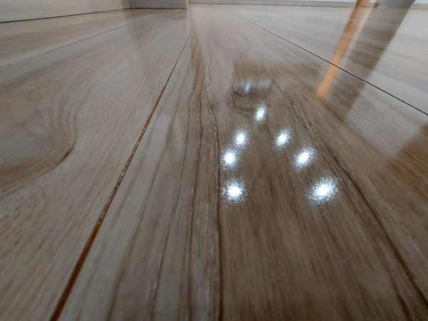 東京都江戸川区松江 フロアコーティング 施工後 わんスマイルコート