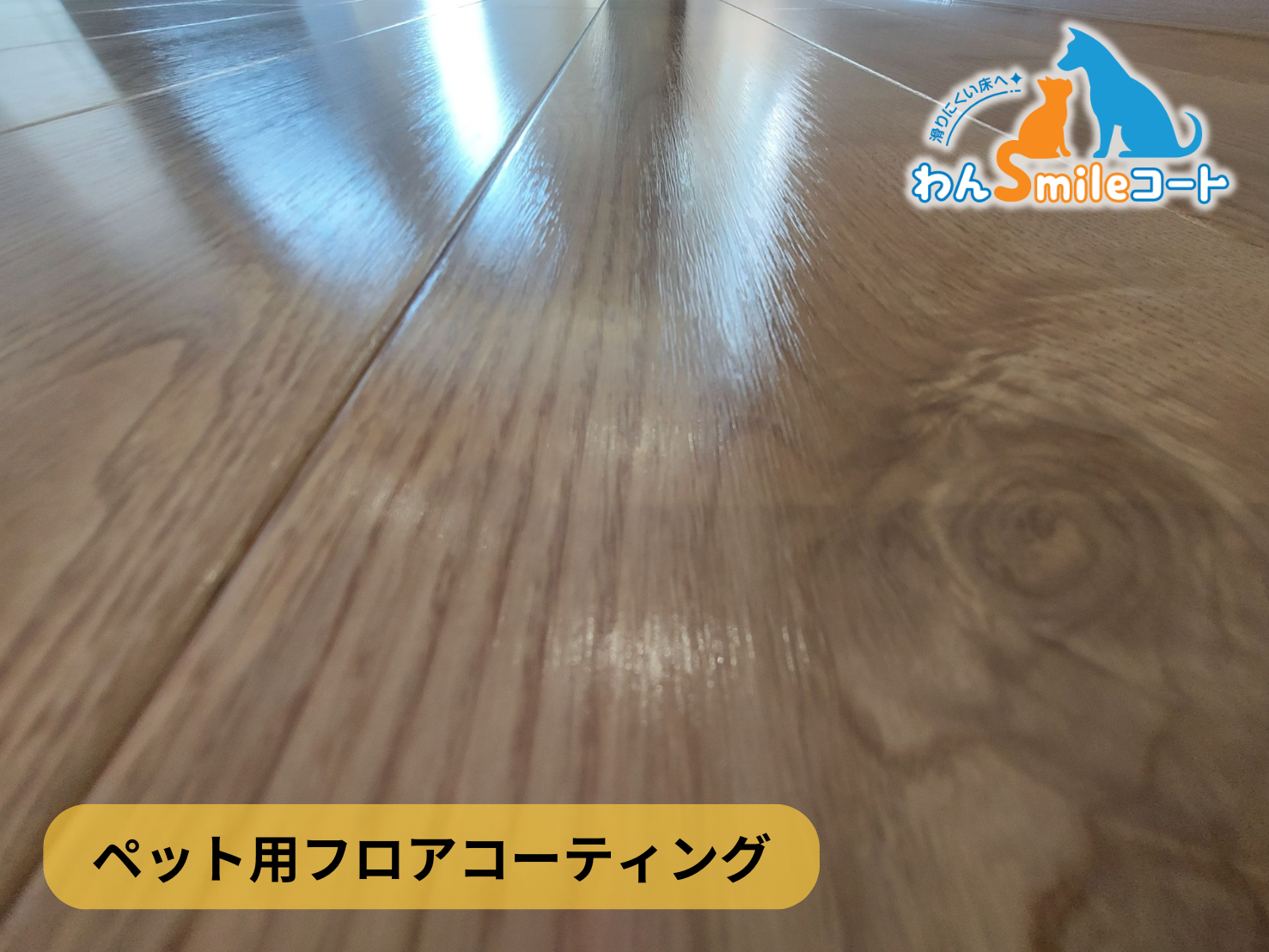 【神奈川県横浜市港北区】フロアコーティング施工事例|新築戸建 11月6日 ペット用フロアコーティング わんスマイルコート