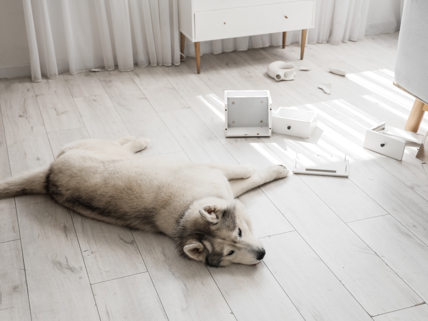 滑りやすいツルツルフローリング