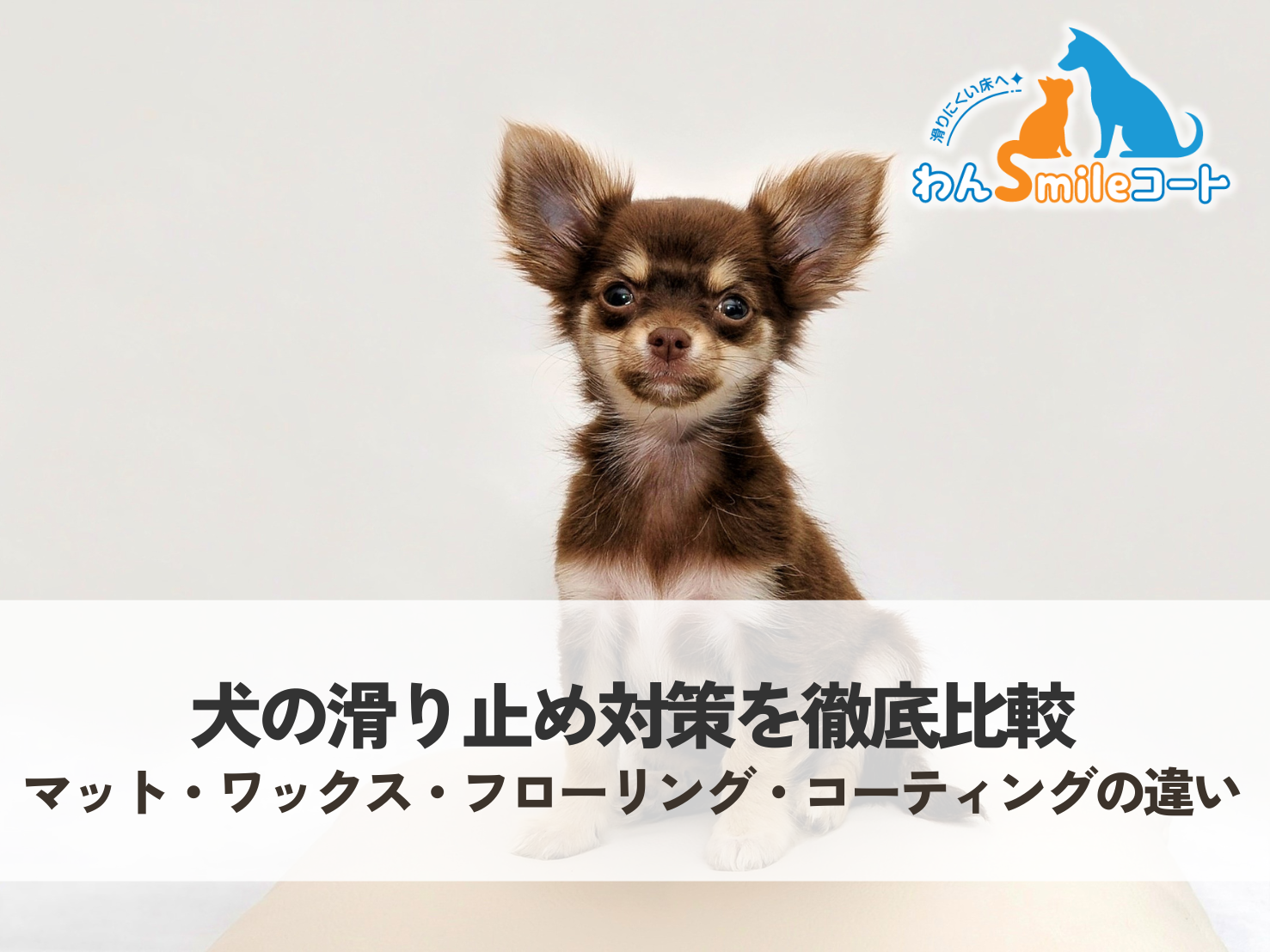 犬の滑り止め対策を徹底比較｜マット・ワックス・フローリング・コーティングの違い