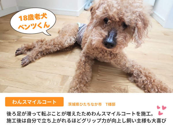 シニア犬も安心して歩けるわんスマイルコート施工後のフローリング