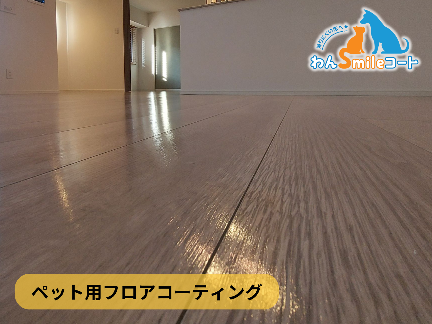 【神奈川県横浜市青葉区】フロアコーティング施工事例｜新築戸建　11月18日 ペット用フロアコーティング　わんスマイルコート