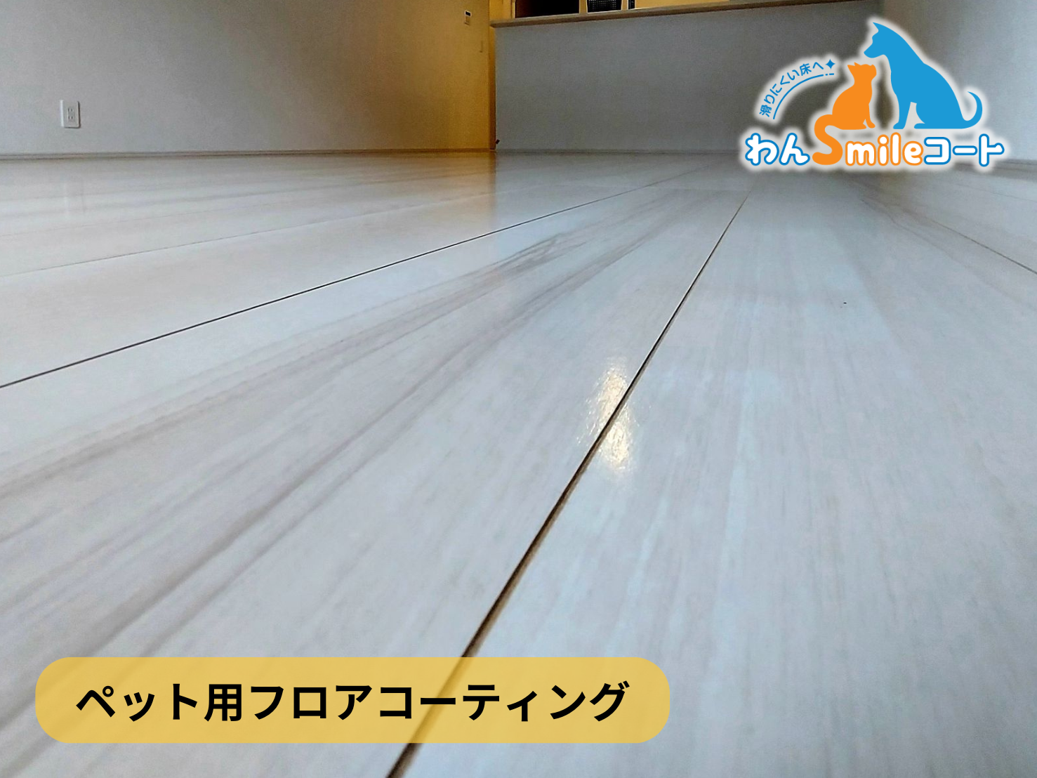 【神奈川県横浜市保土ヶ谷区】フロアコーティング施工事例｜新築戸建 　11月19日 ペット用フロアコーティング　わんスマイルコート