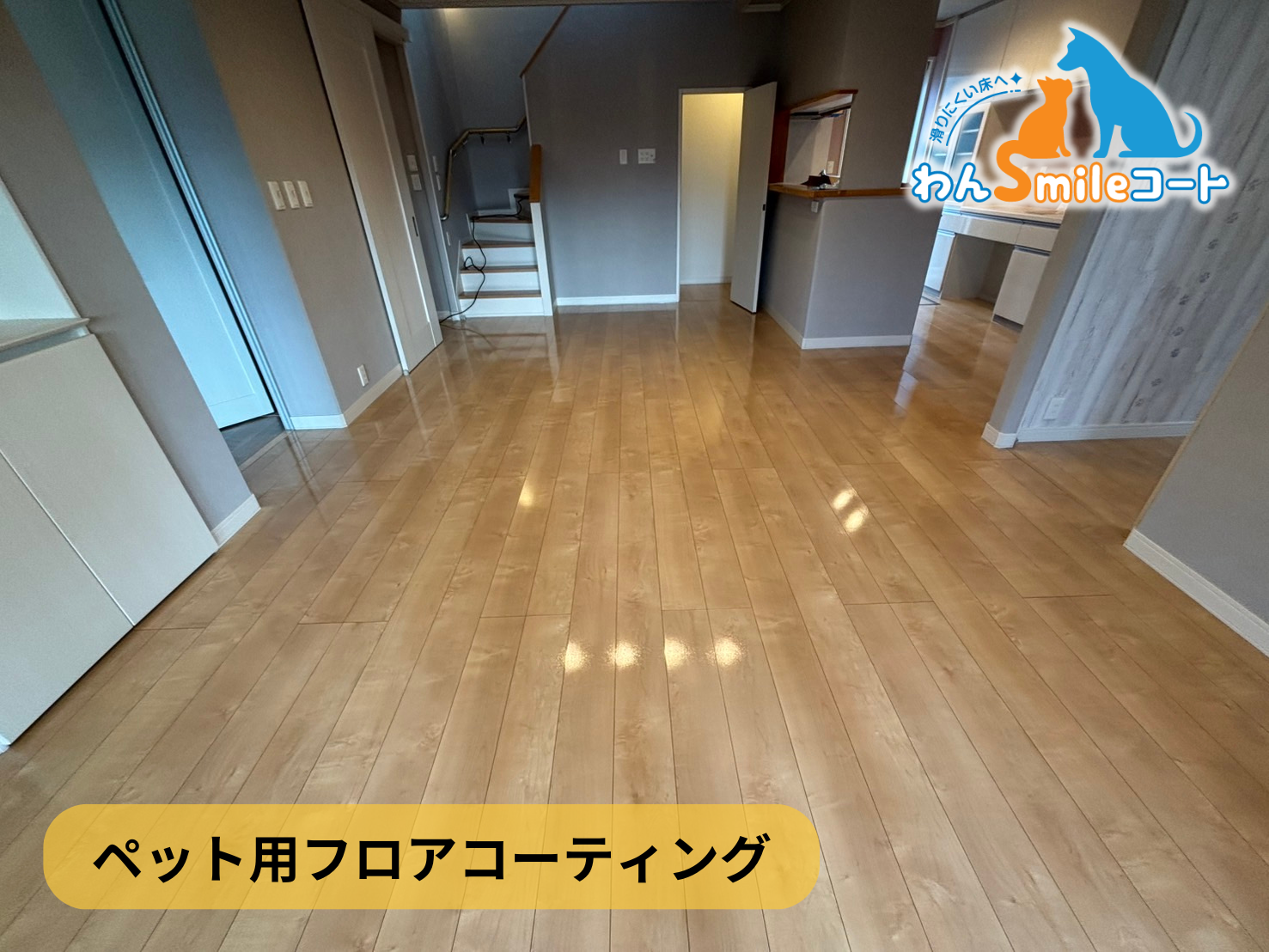 【福島県いわき市小川町】フロアコーティング施工事例｜中古戸建 　11月21日 ペット用フロアコーティング　わんスマイルコート
